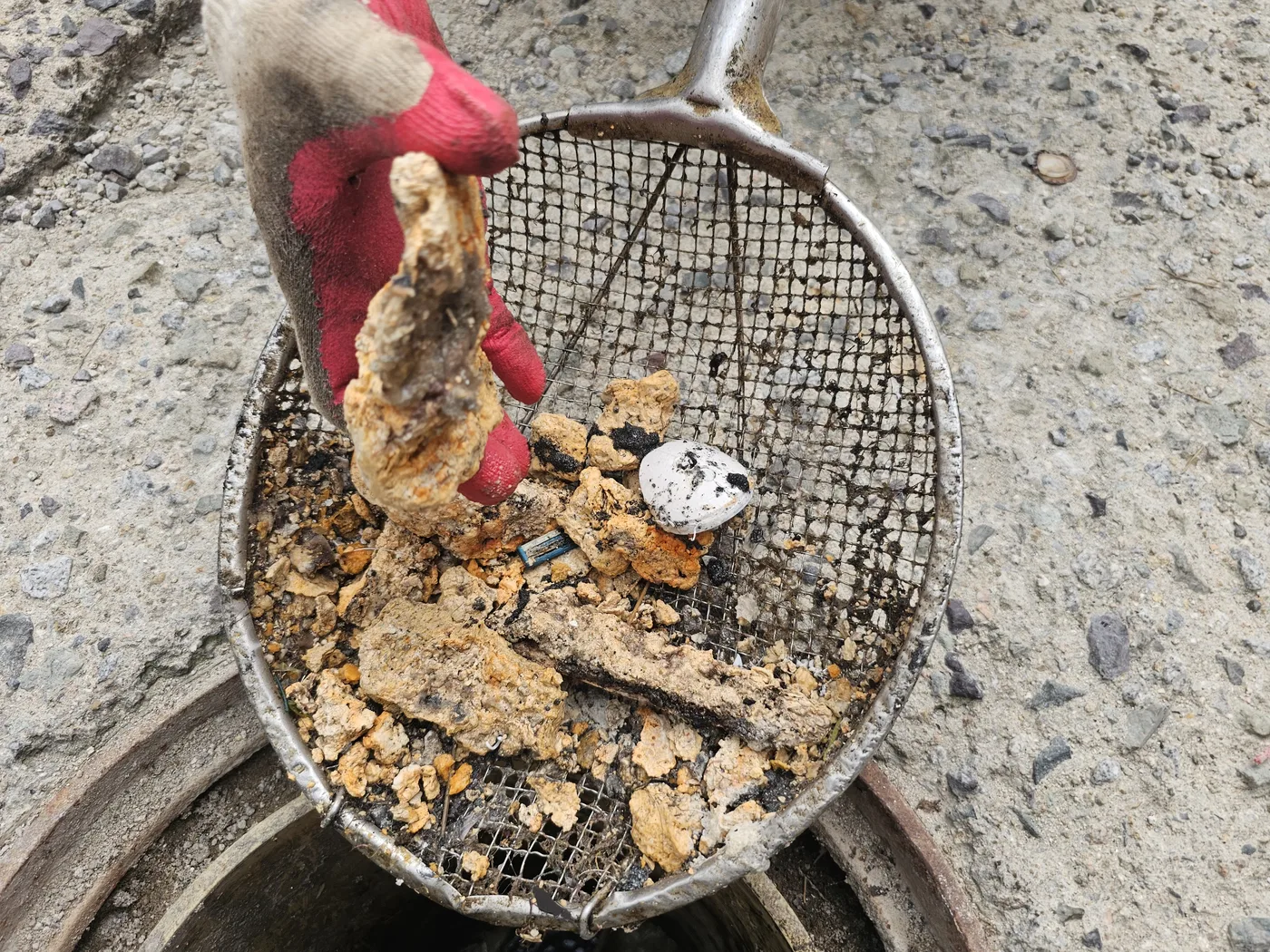 광주 광산구 본량동 오수받이 쪽으로 나온 기름덩어리는 채로 받아 가능한 만큼 현장에서 회수했습니다.